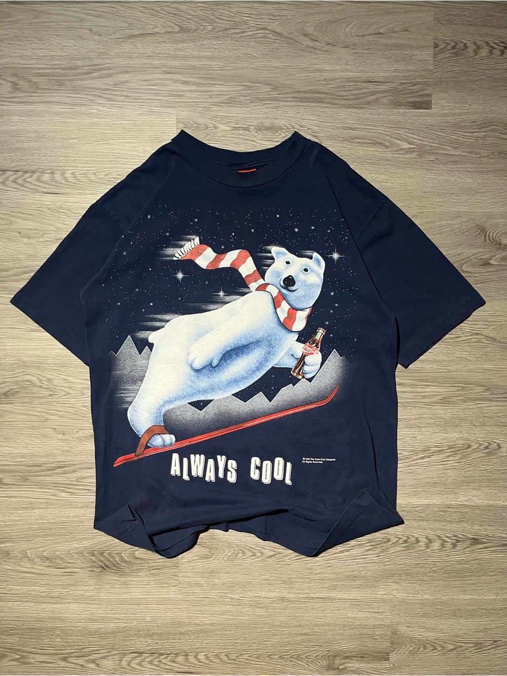 1994 Coca-Cola, polar bear ski graphic double-sided T-shirt men’s XL ￼